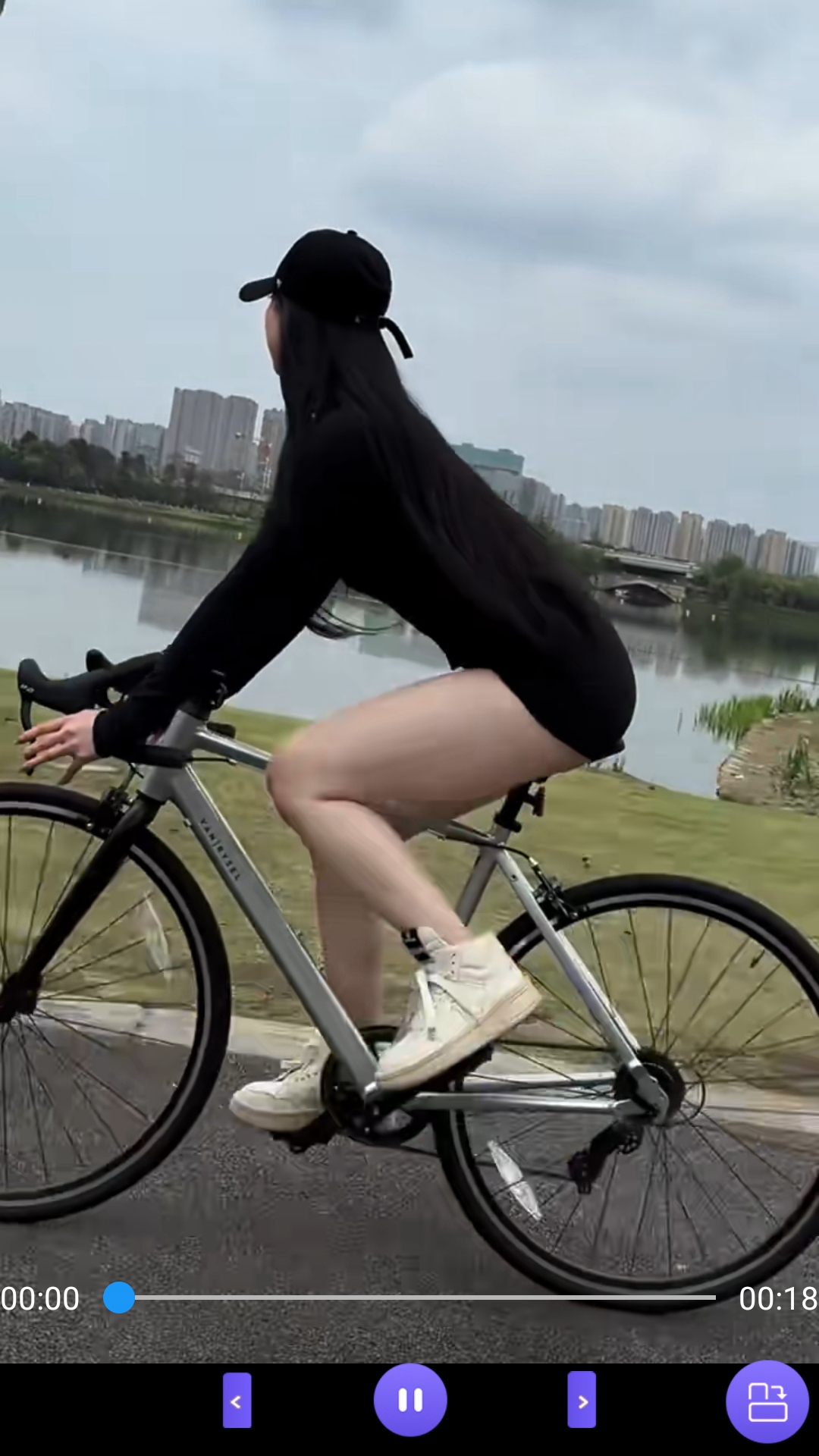 长腿昆虫,身体很小,退细长截图